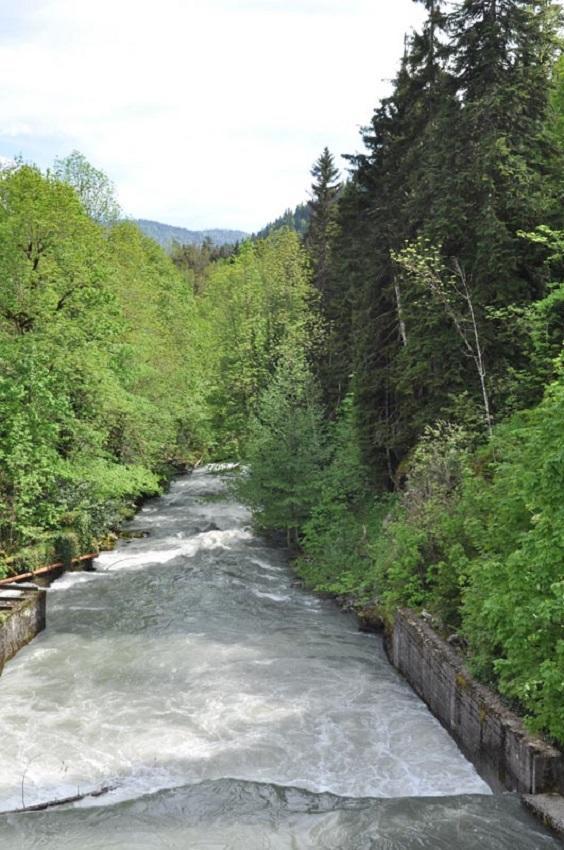 Lazurniy Bereg Hotel Gagra Bagian luar foto